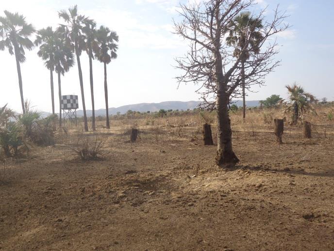 Destruction of communal amenities in Kakrai village, Um Dorien County Karkrai village is located in Un Dorein County in South Kordofan State.