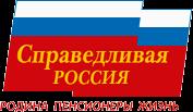 Linkage Institutions Political Parties A Just Russia Formed in 2006 merger (Motherland People s Patriotic Union/Party of Pensioners/Party of Life) Led by
