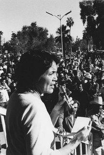 Document 5 Excerpts from the Proclamation of the Delano Grape Workers for International Boycott Day, May 10, 1969 by Dolores Huerta We have been farm workers for hundreds of years and pioneers for