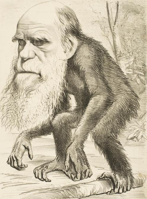 Darwin Banned In 1925, the Tennessee legislature passed the Butler Law, which forbade the teaching of Darwin s theory of evolution in any public school or university.