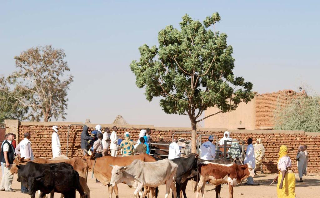 Livelihoods & Food Security DARFUR Improving Livelihoods Success by the Numbers 12 animal health centers provided curative care to 4,800 animals per week.