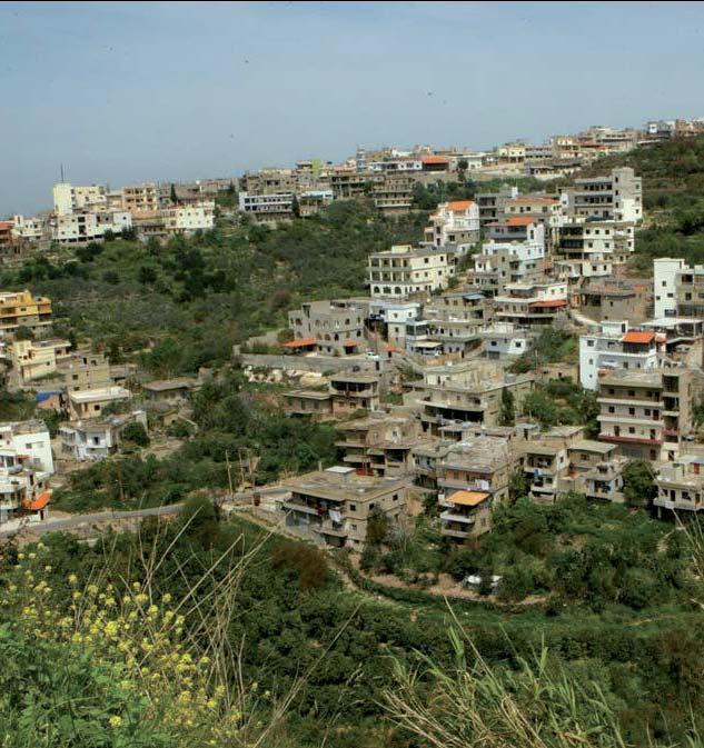 LEBANON Boosting the Economy Together During 2009, Relief International continued year two of its exciting three-year program, Empowering Municipalities through Local Economic Development (EMLED), or