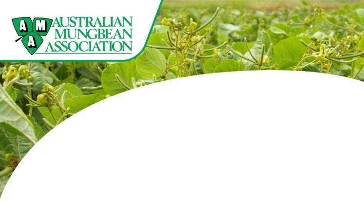 1 Australian Mungbean Association
