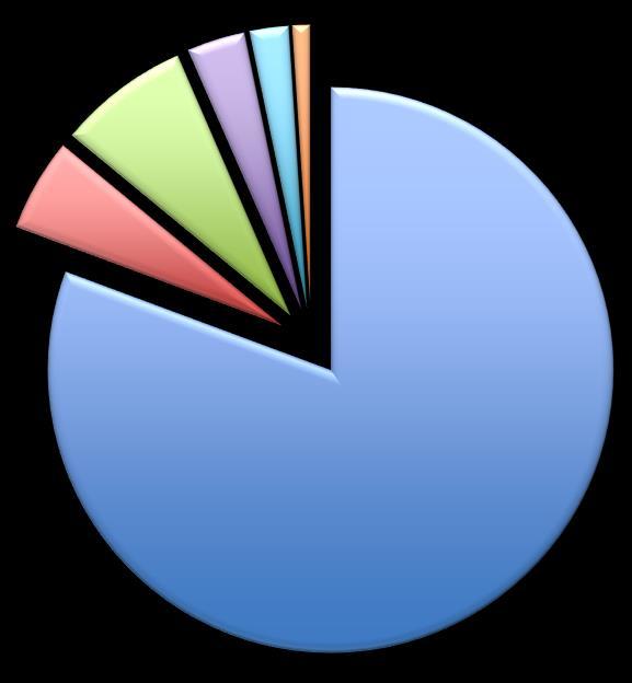 Multicultural Britain 2011 census 19.