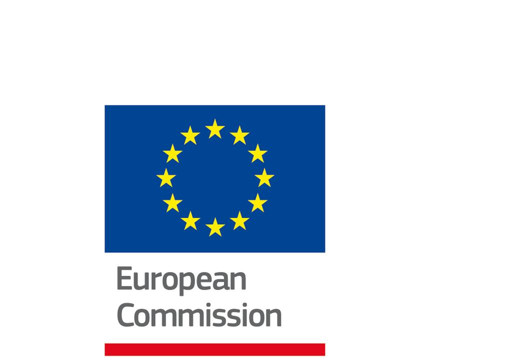 LOGO CE_Vertical_EN_NEG_quadri rouge Summary Survey requested by the European Commission,