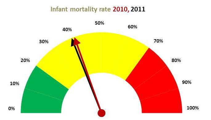 Socio-economic indicators for South Africa indicate that the mortality rate for infants has been on a downward spiral since 2005. However, the numbers are still very high.