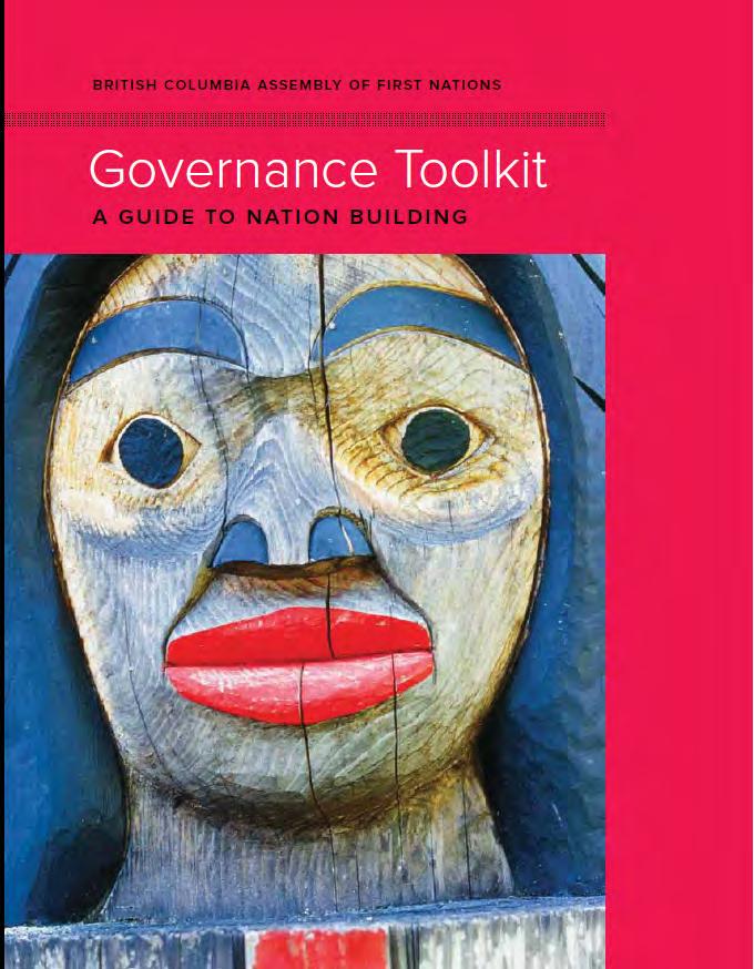 BCAFN GOVERNANCE TOOLKIT Building on the Governance Toolkit A