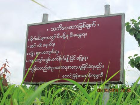 Development without us Photos: Taking a Land Dispute to Court: the Case of Kaung Myanmar Aung Company The photo on left was taken by a KHRG researcher on April 5 th 2015 in Ab--- village, Htantabin