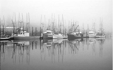 Reading Showcase Handout Fog by Carl Sandburg The fog comes in on little cat feet It sits looking Over harbor