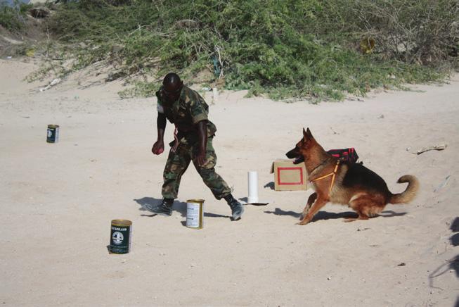 2014 UNMAS Annual Report STRATEGIC OBJECTIVE THREE UNMAS provides explosive detection dogs and training to Somali security services and African Union peacekeepers in Somalia.