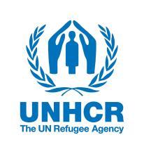 DESK RESEARCH OF THE SURVEYS OF IDPs PREPARED FOR UNITED NATIONS HIGH COMMISSIONER
