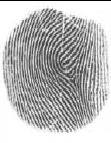 in 1900 FBI set up a fingerprint identification division in 1924 AFIS installed in 1965 with a database of 810,000 fingerprints First face recognition
