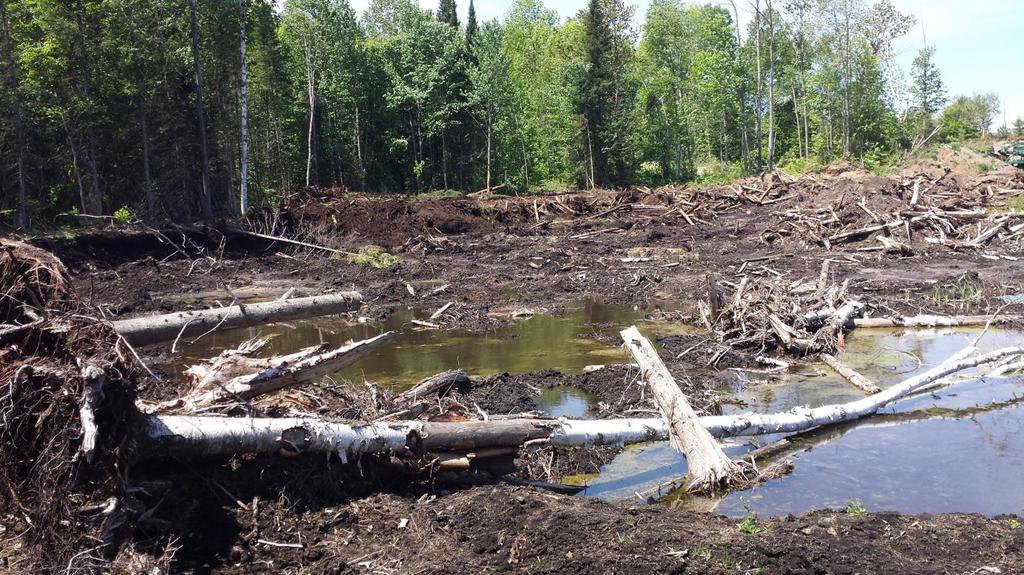 Photo 2: Kawartha Region Conservation Authority In many cases, the valuable organic soil/peat moss will be removed prior to excess