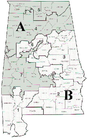 Alabama What A Super District Might Look Like Northern District A (3 seats) Southern District B (4 seats) Winning Percentage: 25% Winning Percentage: 20% Black % of VAP (1990): 26.