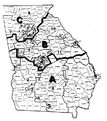 Georgia What a Super District Might Look Like Southern District A (3 seats) Central District B (3 seats) Northern District C (5 seats) Winning Percentage: 25% Winning Percentage: 25% Winning