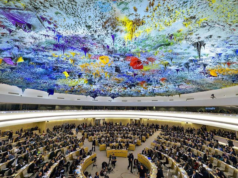 Mandate of the Special Rapporteur Mandate created in 2008 Léo Heller appointed in 2014 United Nations Human Rights Council, Geneva Contribute to SDGs with special regard to the elimination of