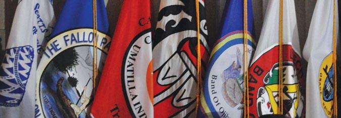38 Initiatives in Action Partnership for Tribal Governance Initiative (continued) Partnering with Native Organizations: Worked in partnership with regional and national Native organizations to help