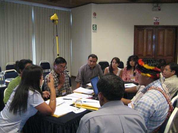 Governance and the extractive industries in indigenous
