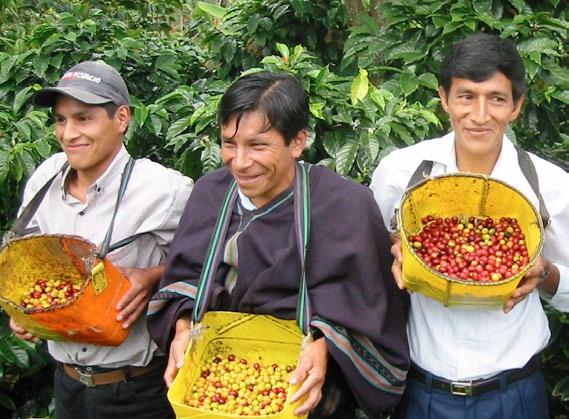 Who we work with We purchase craft and food products from over 70 trading partners, representing hundreds of thousands of small farmers and artisans in Africa, Asia, Latin America and the Pacific.