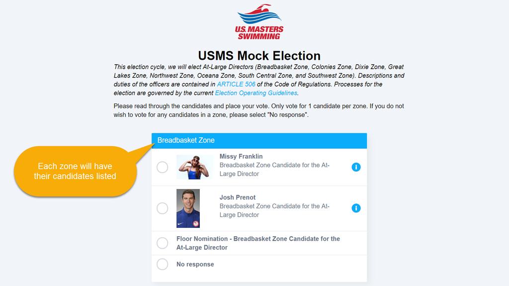 Once you have successfully logged in to the election, the ballot will appear: You will only be able to vote