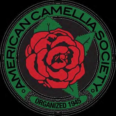 American Camellia Society ACS NOVICE &