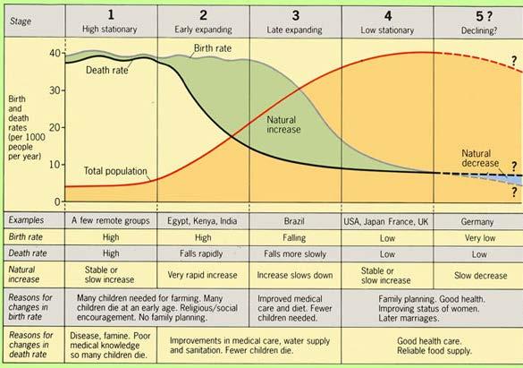 DEMOGRAPHIC TRANSITION MODEL Stage 1 Pre-transition -high birth rates -high death rates Stage 2 Early Transition -high birth rates -low death rates Stage 3 Late