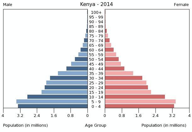 POPULATION PYRAMIDS Early Expanding High Death Rates High