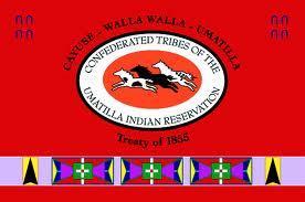 Umatilla Implemented in March 2011 47 Provide public defenders to everyone, law-trained tribal-member judge for 30+ years, hearings are recorded, laws are on public website, etc.