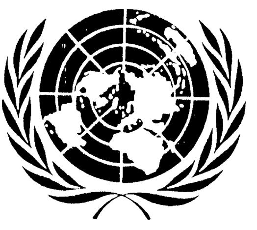 Section I OVERVIEW OF THE UNITED NATIONS The following was excerpted from the website of the UN Cyberschoolbus.