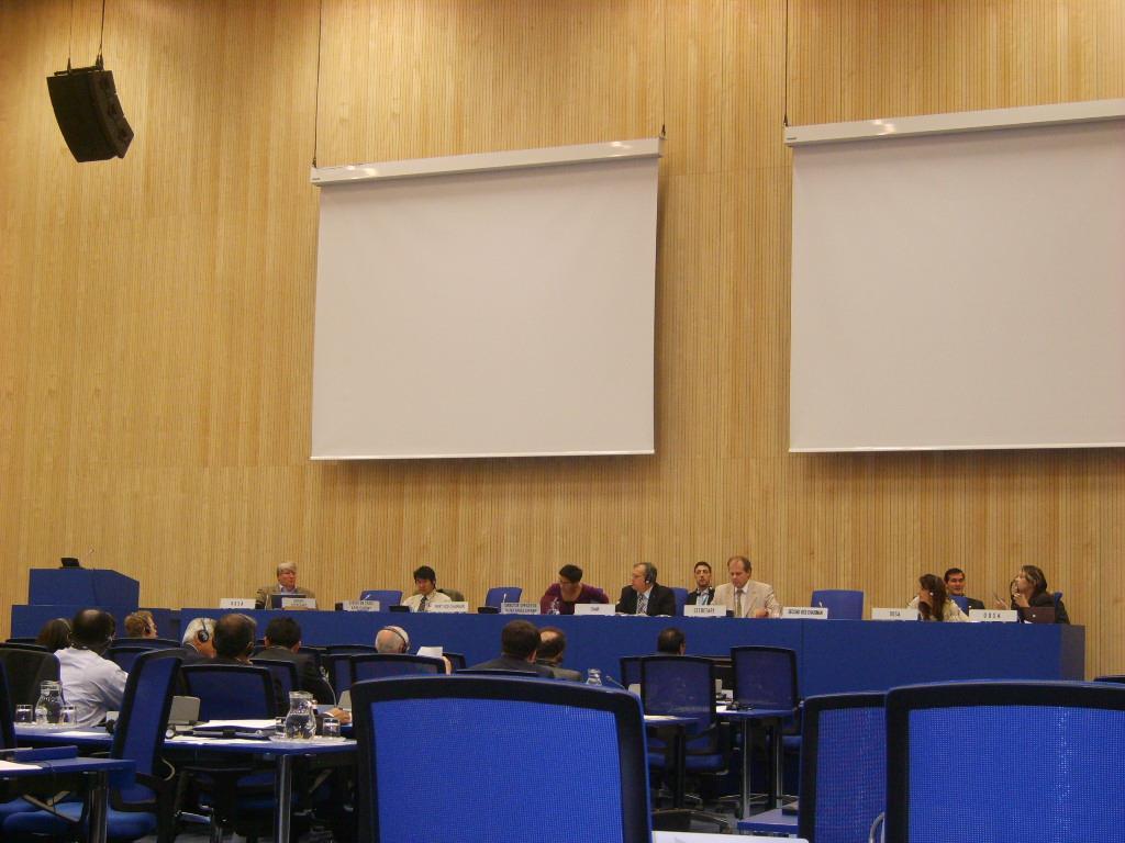 2010 COPUOS in the UN Vienna M Building, normally