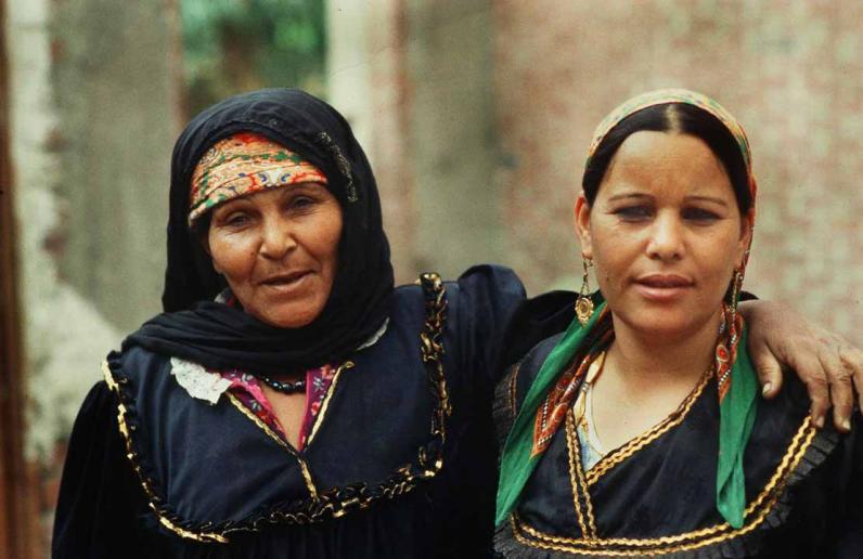 Egypt Grantee: Land Center for Human Rights LCHR Project title: Supporting and Providing Legal Aid for Rural Working Women in the Egyptian