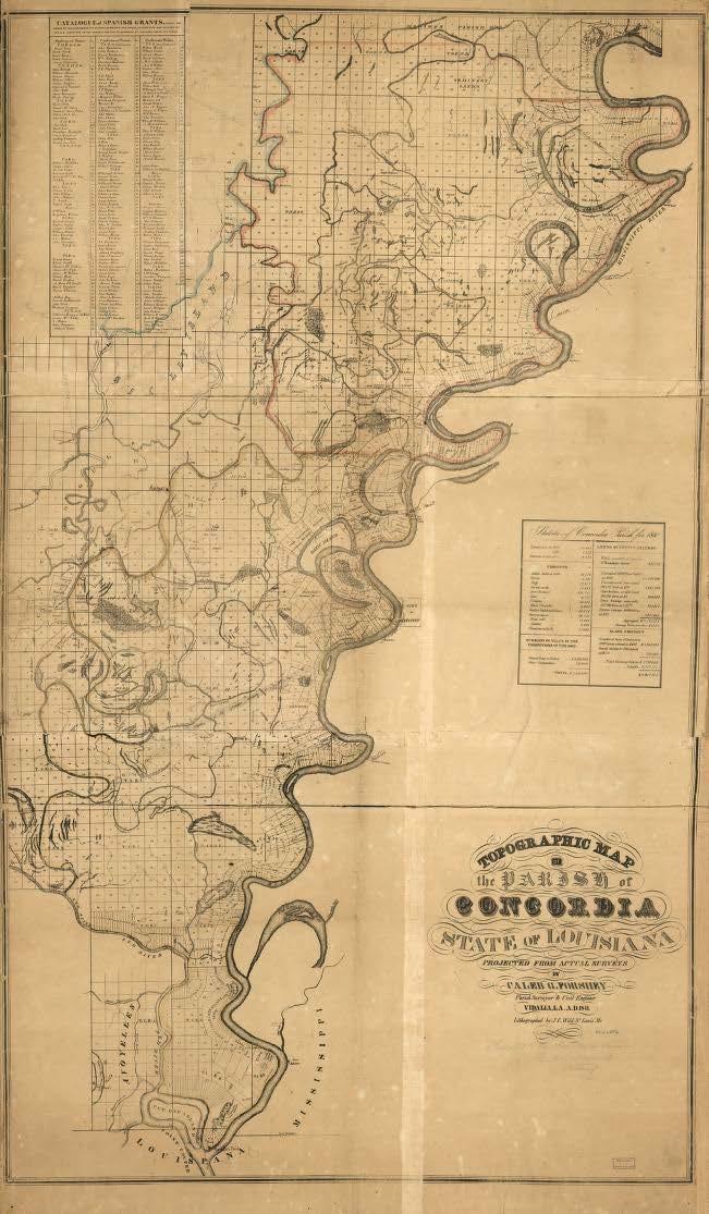 Forshey, Caleb Goldsmith. Topographic map of the Parish of Concordia, state of Louisiana.