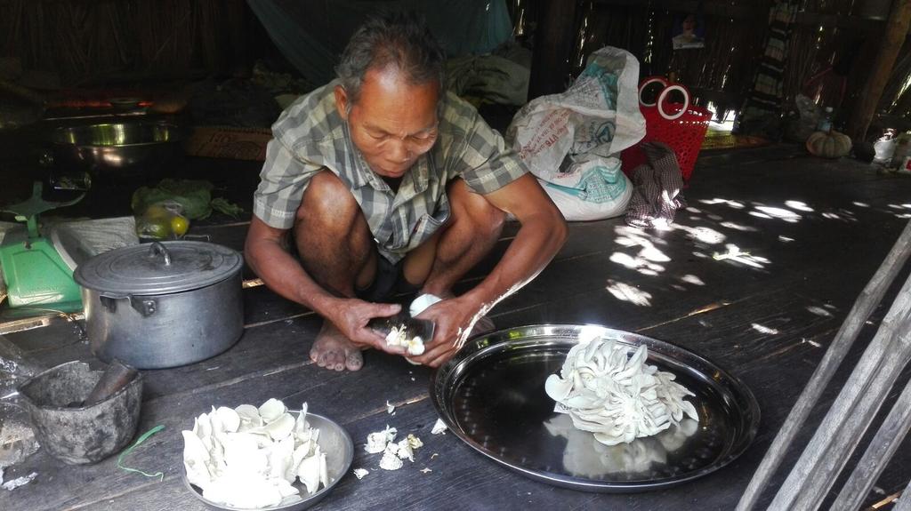 Since 2014, ADF is also managing a large mushroom production center in Preah Ang Thom village, acting as a cooperative, a training center and a hub for other products and producers from remote