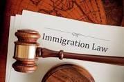 Although they occupy a lower rung in the federal judicial hierarchy than federal circuit courts, federal district courts also play an important role in the adjudication of immigration-related cases.