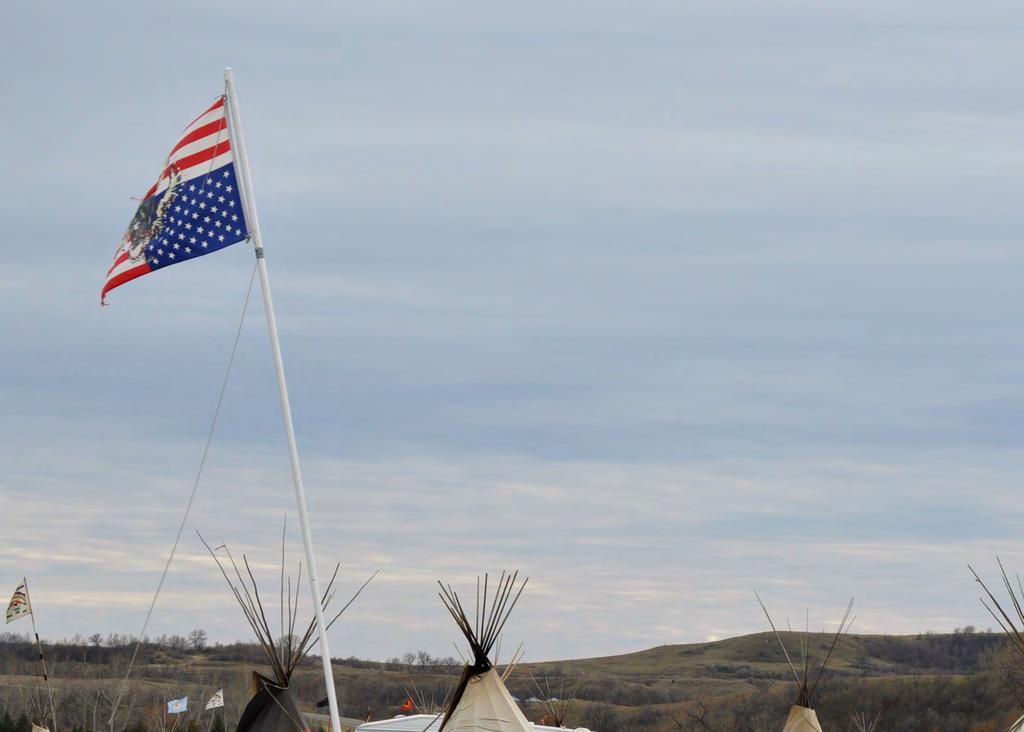 Standing Rock #NoDAPL Dianne Baumann Doctoral Student,