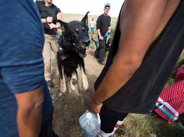 September 2016 Violence against water protectors begins in earnest: private security, a\ack dogs, pepper spray, massively increased police presence, daily
