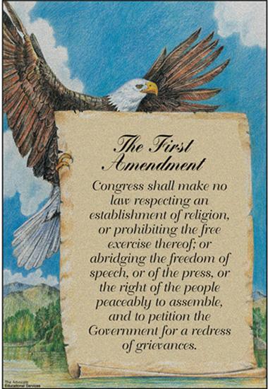THE FIRST AMENDMENT Congress shall make no law.
