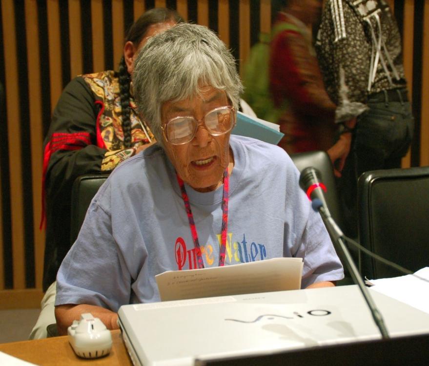 Urgent Action, Western Shoshone (US) " The CERD issued a full Urgent Action Decision in 2006 stating that the "Committee has received credible information alleging that the Western Shoshone