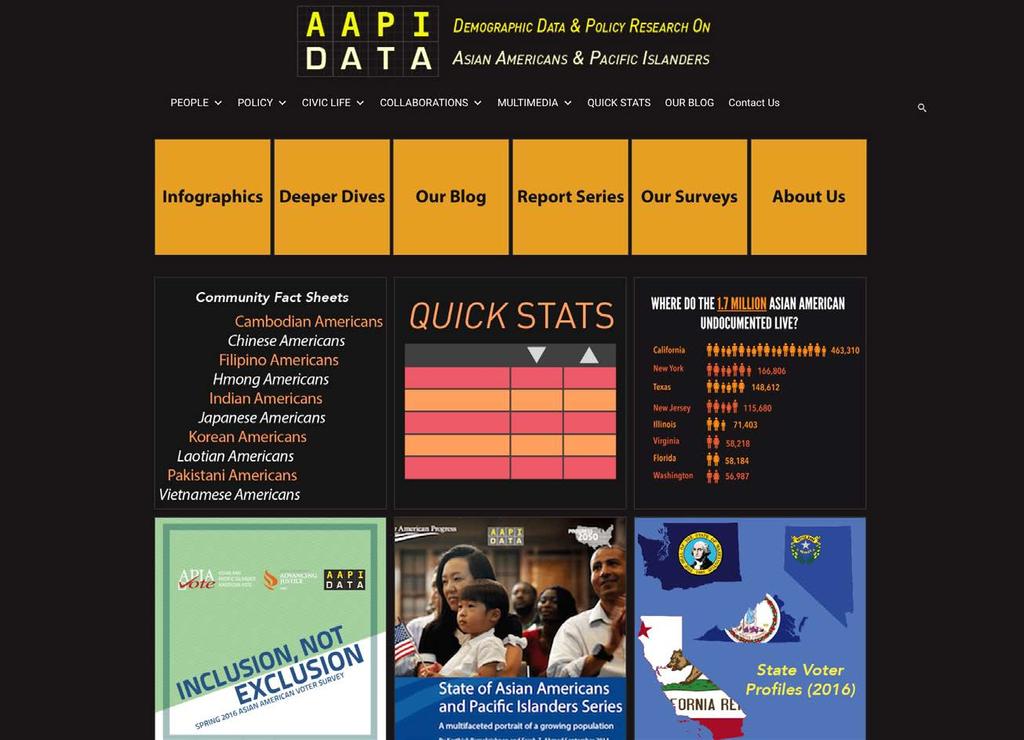 What is AAPI Data?