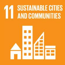 Sustainable Development Goal Make cities and human settlements inclusive, safe, resilient and sustainable.1 Urbanization...1.2 Quality of housing...5.3 Resilient cities and human settlements...5.4 Data and monitoring issues.