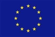 Appendix 2: Survey questionnaire An action funded by the European Commission DG Justice, Freedom and Security Policies, practices and key stakeholders in relation to sexual assault across Europe