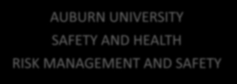 UNIVERSITY SAFETY AND