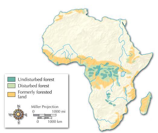 Section 2 Africa has faced many environmental problems.