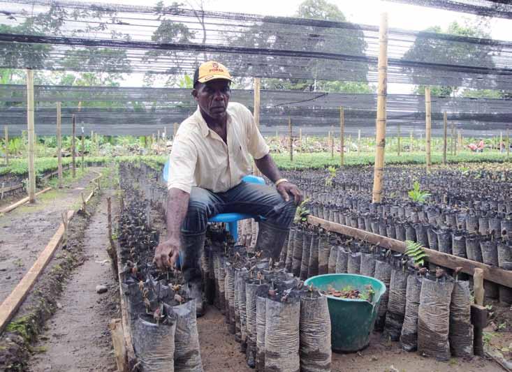 63 STUDENT RESEARCH Cultivating a Coca-Free Future by Sarah Krupp A worker tends cacao seedlings.