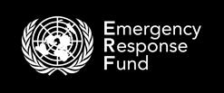 Syria Emergency Response Fund Monthly Update August 2014 OVERVIEW $81 million Contributions since 2012 (including pipeline funds) $37 million Allocated (including pipeline) to life-saving projects