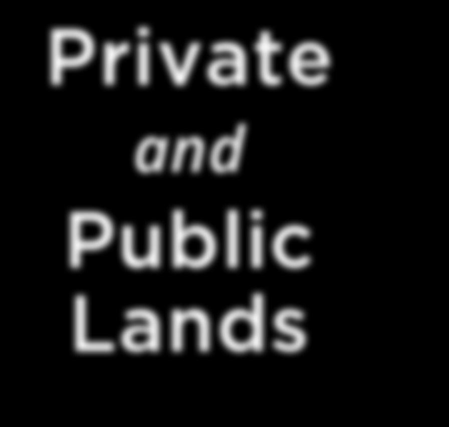Private and Public