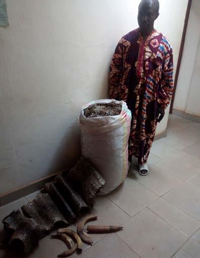 at a 5-day training on leadership and management in Ghana 3 traffickers, one of them former army officer, arrested in Congo A trafficker arrested in front of his bar with 40 kg of pangolin scales,