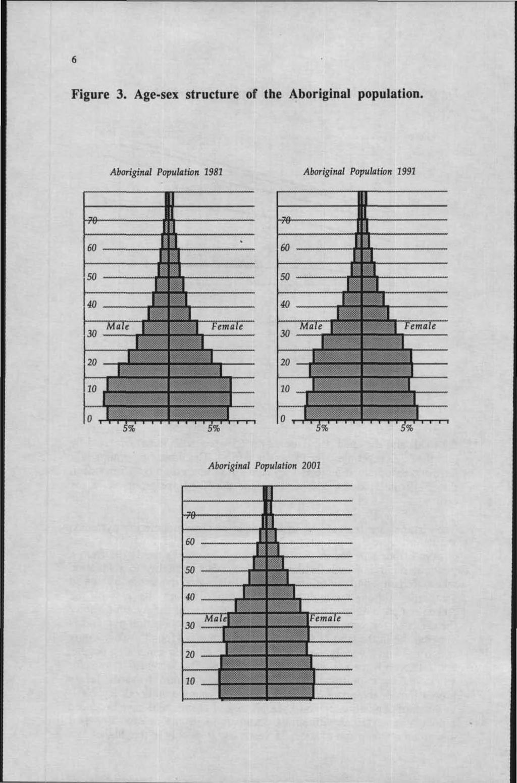 Figure 3. Age-sex structure of the Aboriginal population.