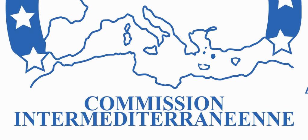 INTRODUCTION: THE GLOBAL CONTEXT AND THE NEED FOR A MACROREGIONAL APPROACH IN THE MEDITERRANEAN The Mediterranean area represents a complex socio-economic, political and institutional setting on