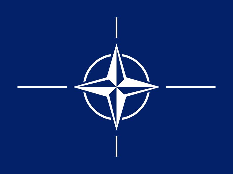 NATO (PSC 106, Spring 2015) Military